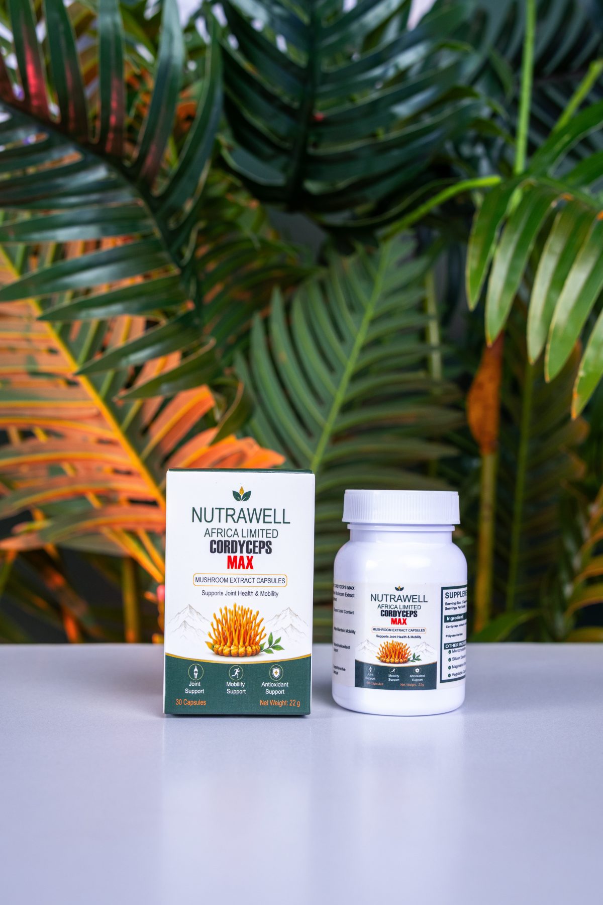 Cordyceps Joint Support